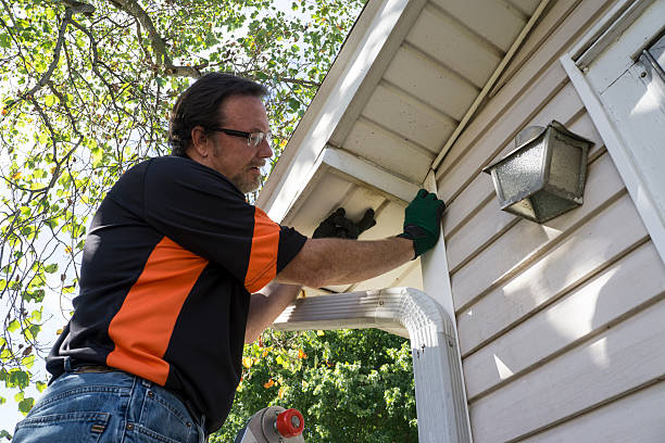 Best Stucco Siding  in Osakis, MN